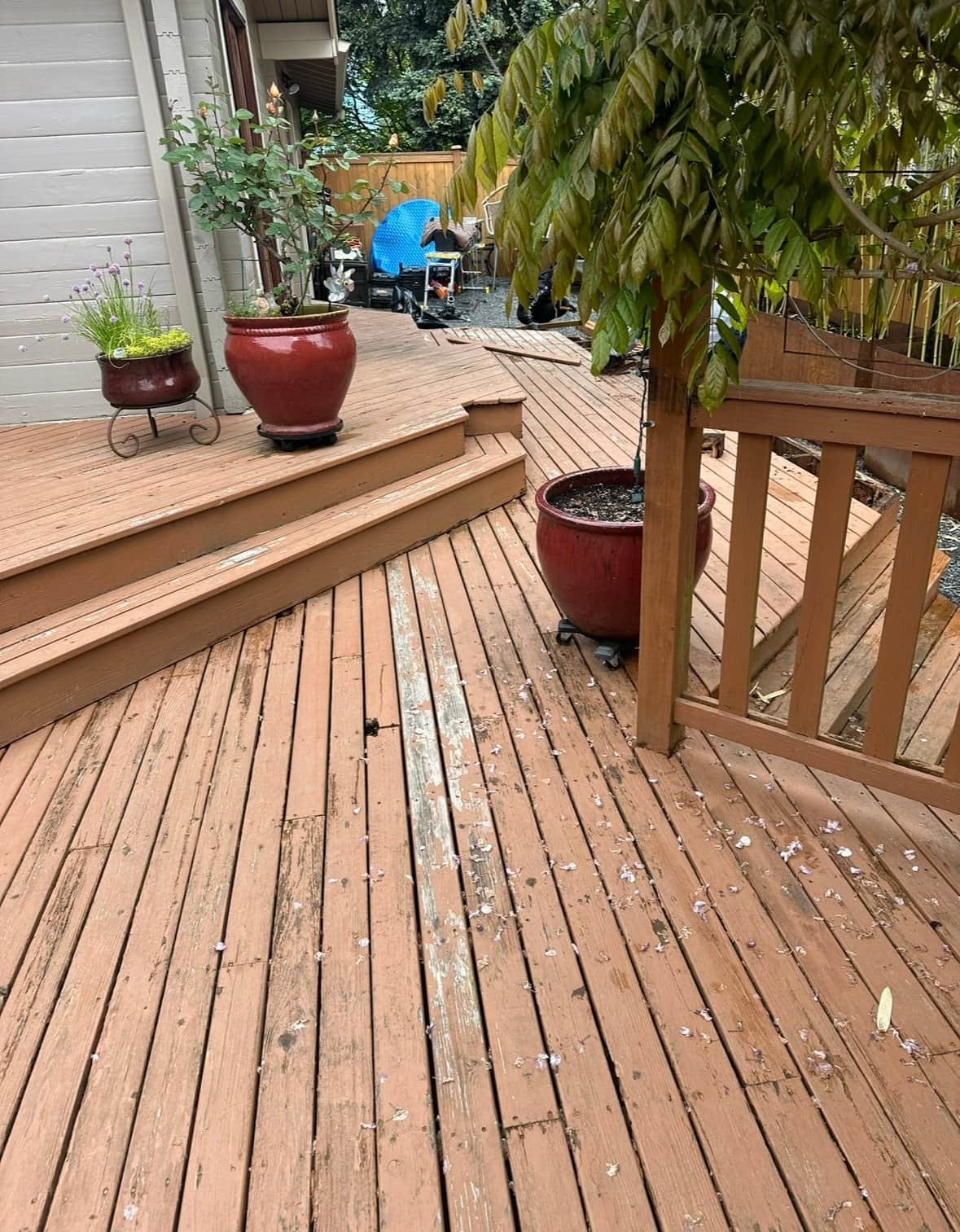 A wooden deck features potted plants, scattered petals, and steps leading to a higher level beside a house.