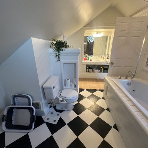 A bathroom featuring a striking black and white checkered floor, with a sink, toilet, and possibly a shower or bathtub. The walls may be tiled or painted, and the lighting highlights the bold geometric pattern on the floor, creating a stylish and visually appealing space.
